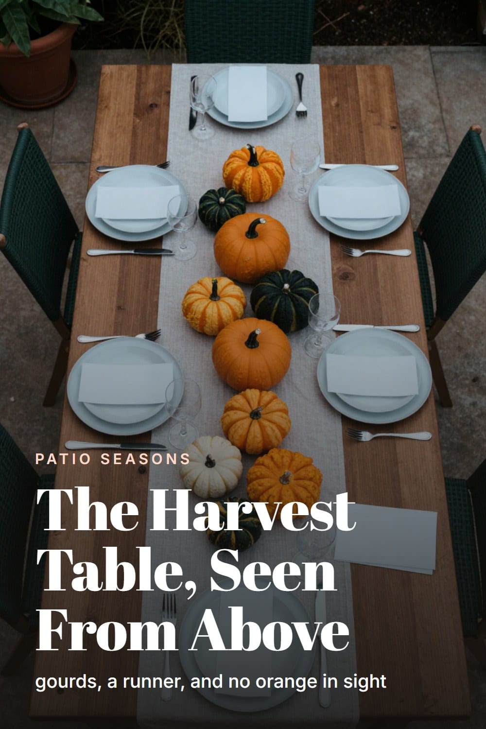 An overhead flat-lay of a harvest table set with heirloom gourds, a neutral runner, and place settings