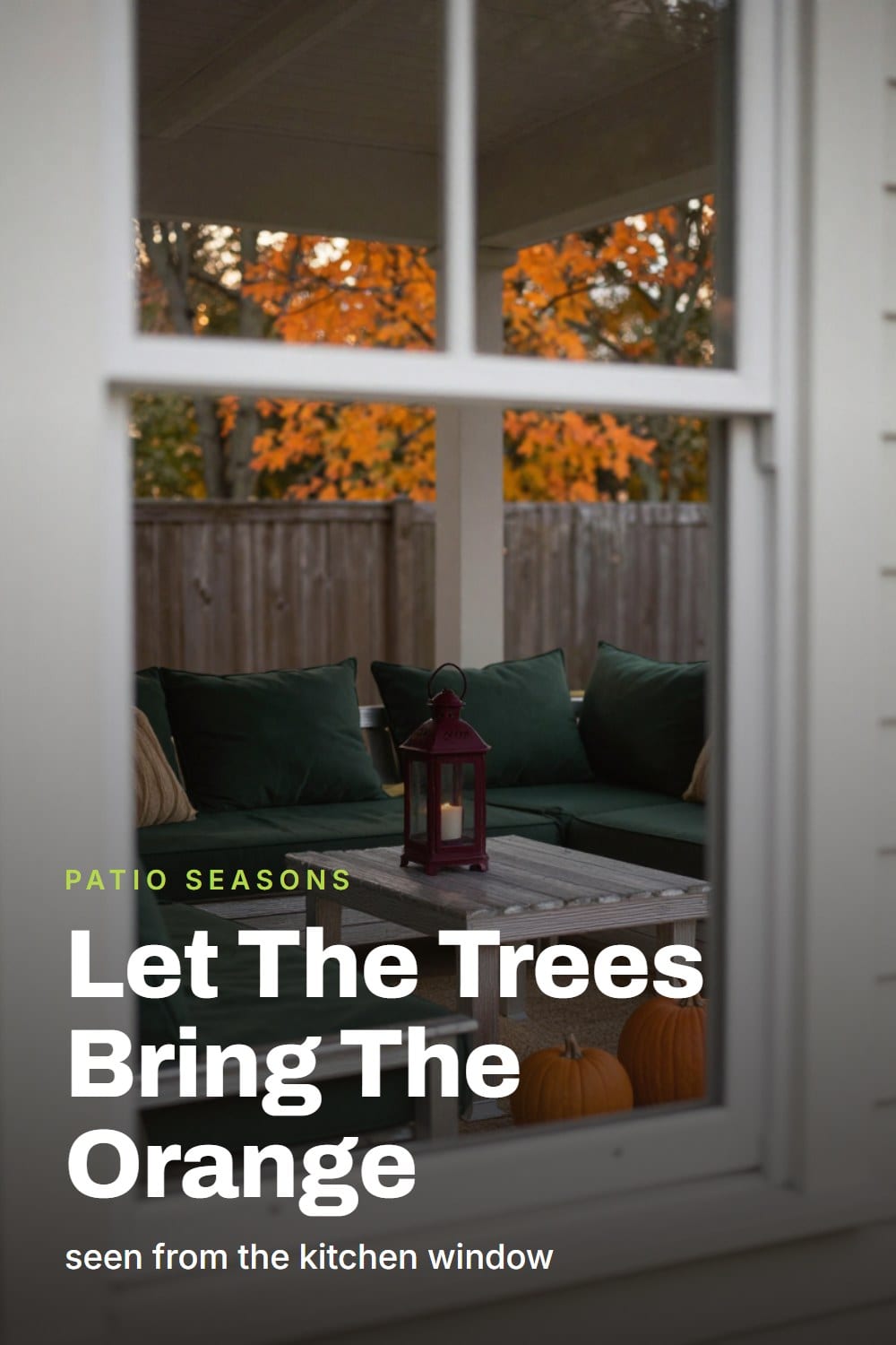 Looking through a porch window at a patio styled in deep green, oxblood, and silvered teak with fall foliage beyond