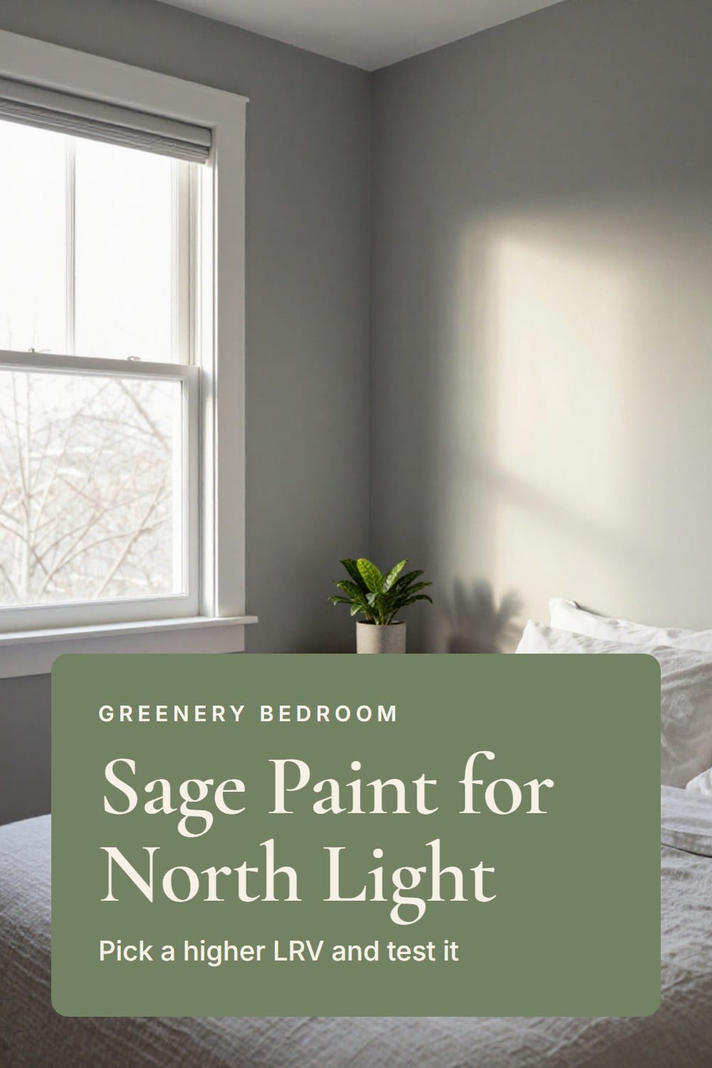 A north-facing bedroom with cool gray window light on sage painted walls and a linen bed